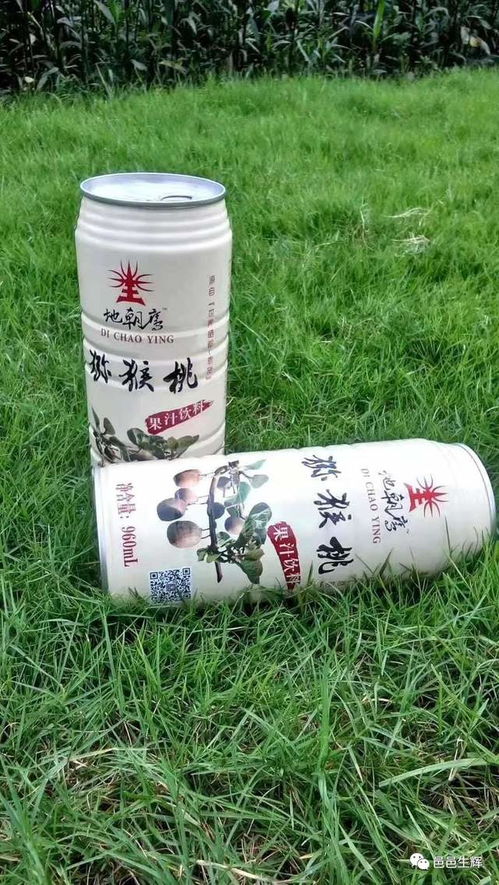 來(lái)自世界硒都的饋贈(zèng)，江門朋友有口福了！